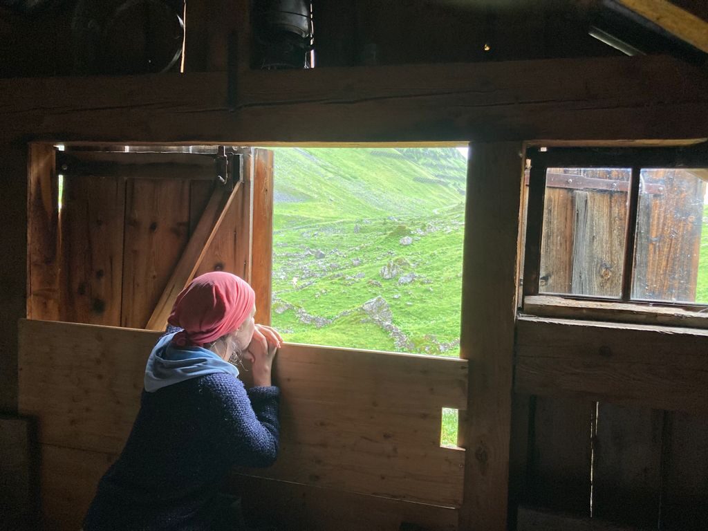 Näfuchäs und Näfuhund – Eine Alperfahrung