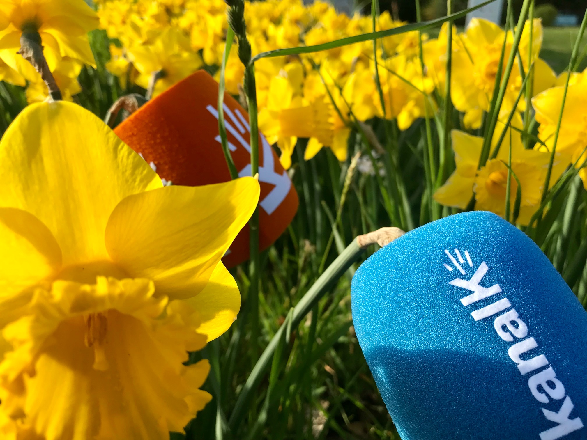 Frohe Ostern!