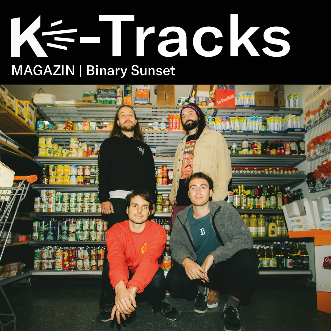 Binary Sunset