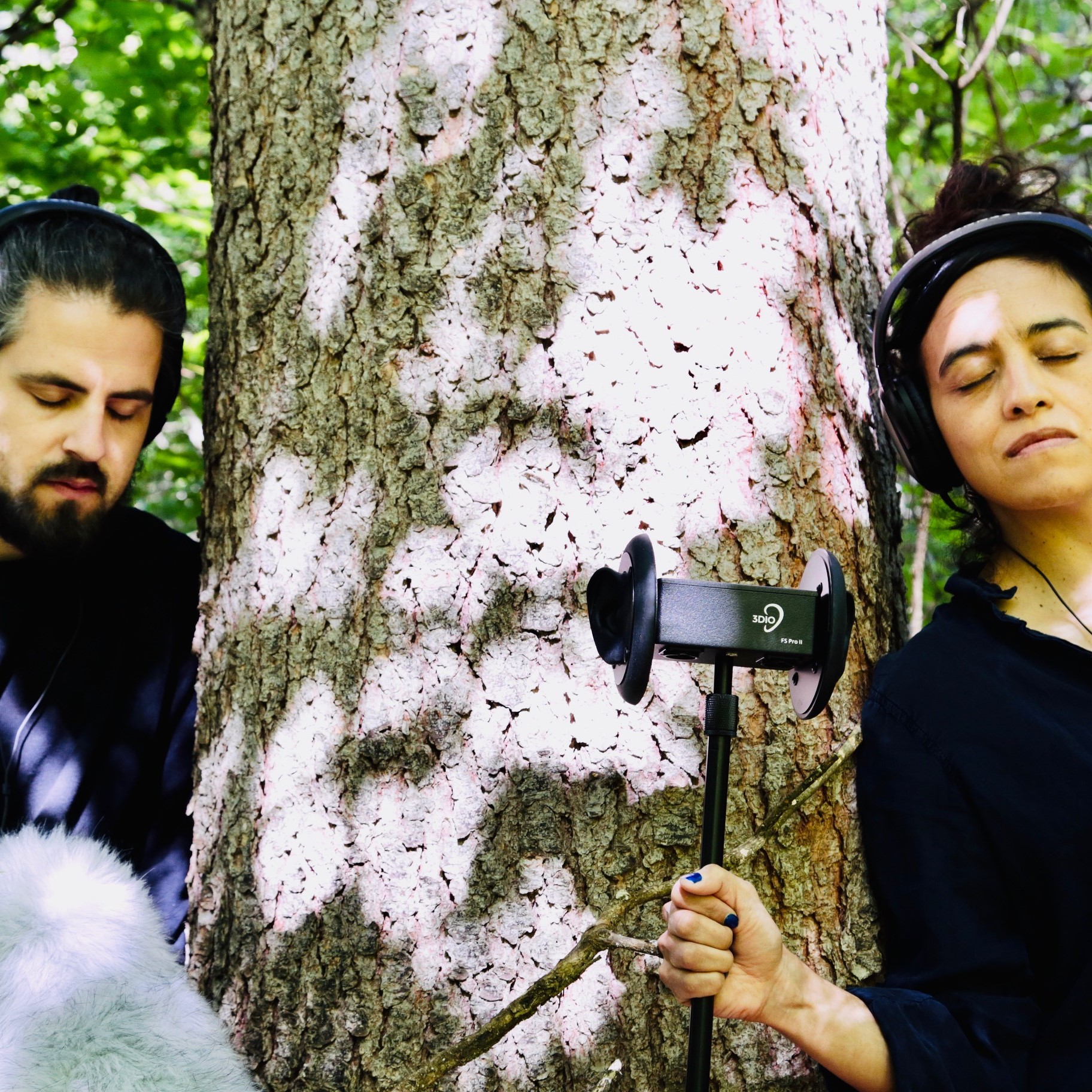 Hörstück „Wald“ von Diana Rojas-Feile