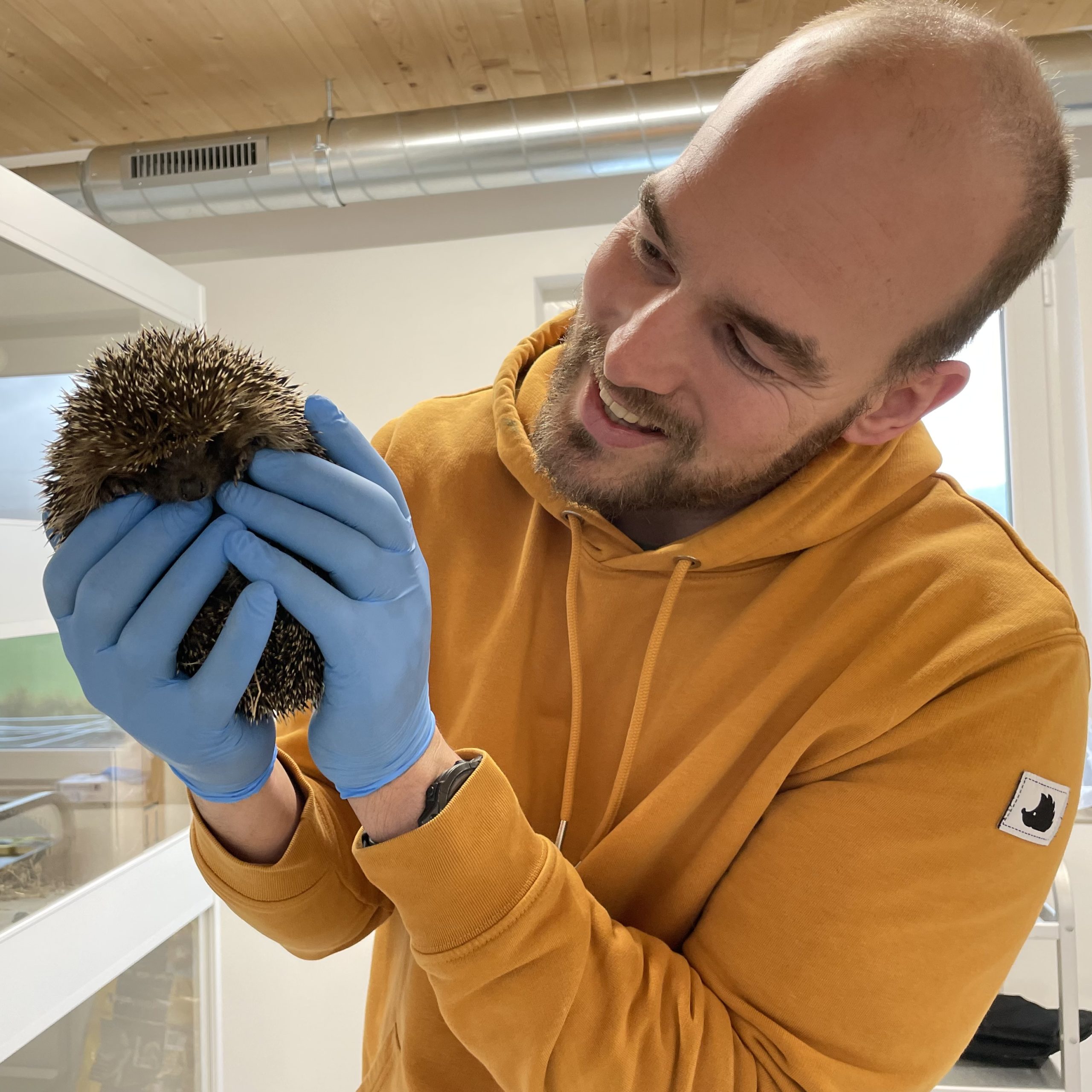 Igel-Hilfe Schweiz: Igelschutz für mehr Biodiversität